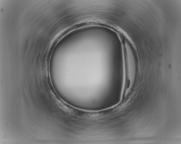 X0000071330791200607141904