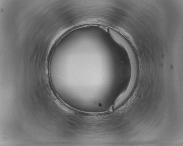 X0000071330792200607141904