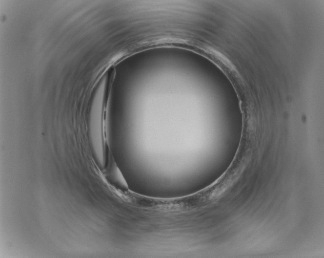 X0000071330793200607141904