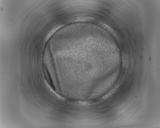 X0000071330794200607141904