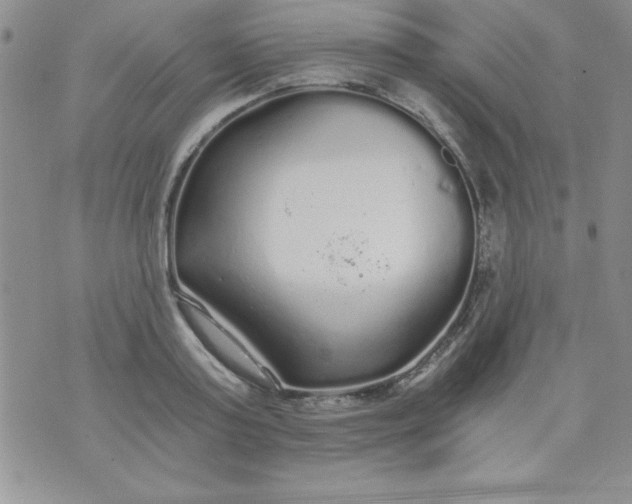 X0000071330795200607141904