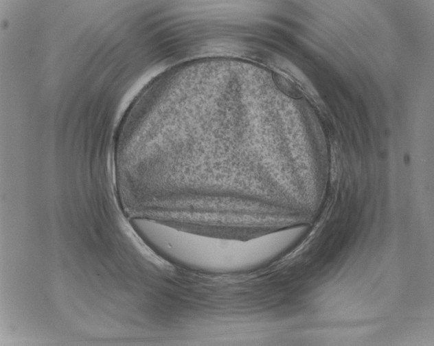 X0000071330796200607141904