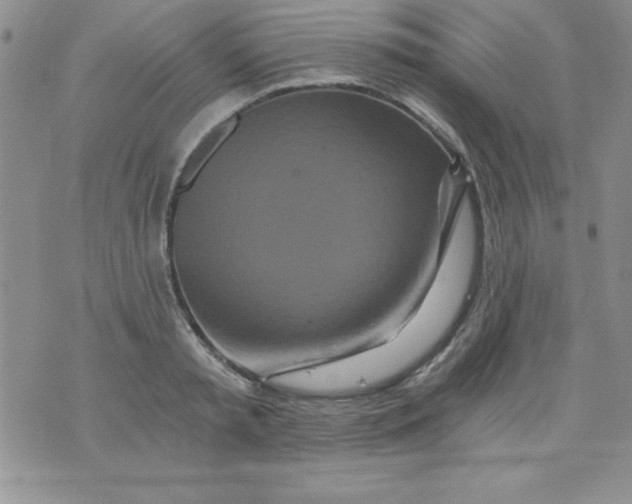 X0000071330797200607141904