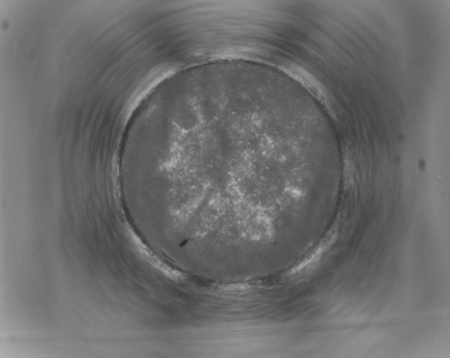 X0000071330798200607141904