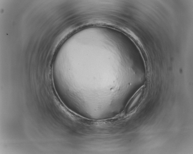 X0000071330799200607141904