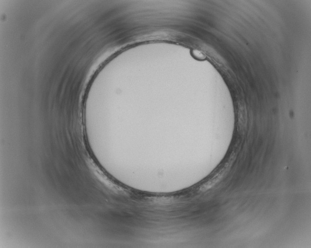 X0000071330800200607141904