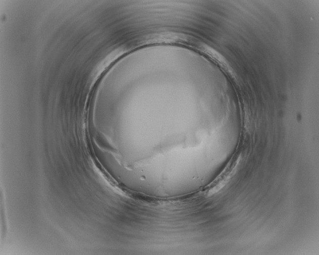 X0000071330802200607141904