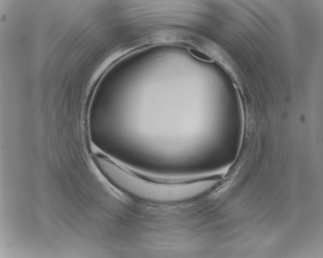 X0000071330803200607141904