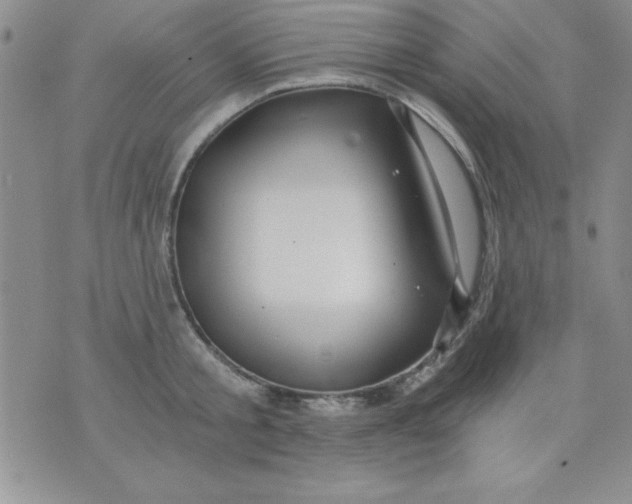 X0000071330805200607141904