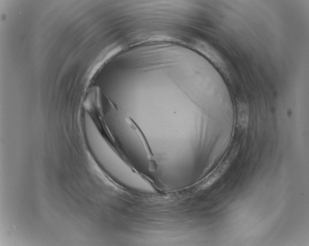 X0000071330806200607141904