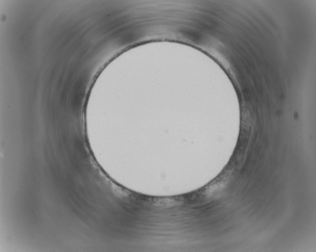 X0000071330807200607141904