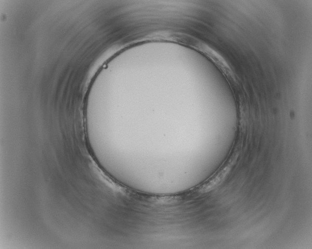 X0000071330808200607141904