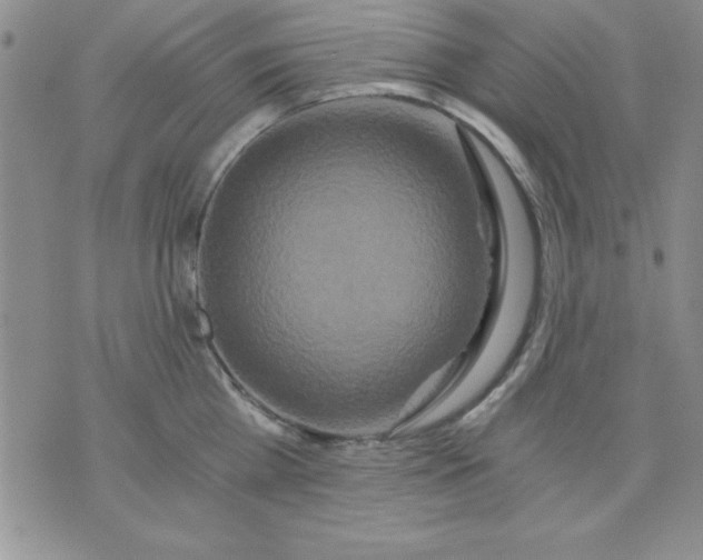 X0000071330809200607141904