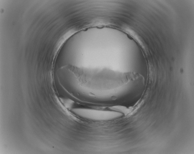 X0000071330810200607141904