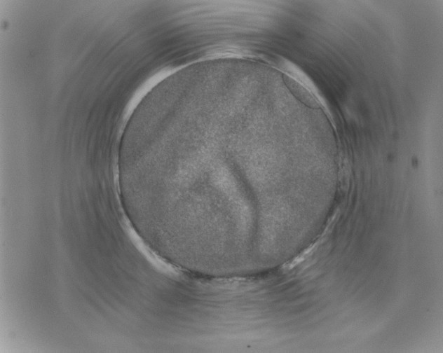 X0000071330811200607141904