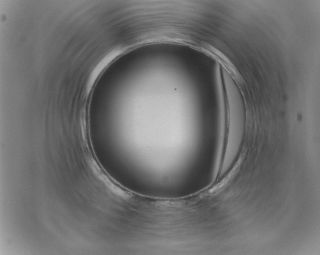 X0000071330812200607141904