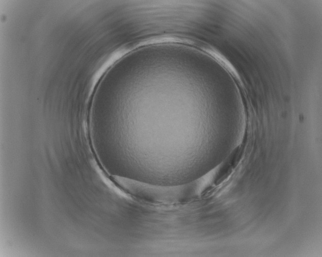 X0000071330813200607141904