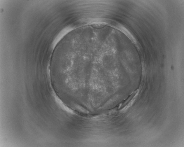 X0000071330814200607141904