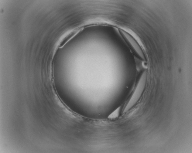 X0000071330815200607141904