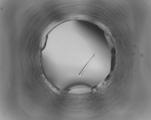 X0000071330816200607141904