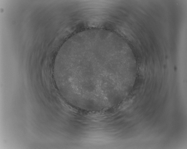 X0000071330817200607141903