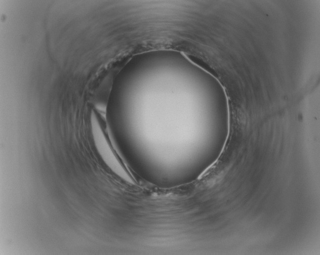 X0000071330818200607141903