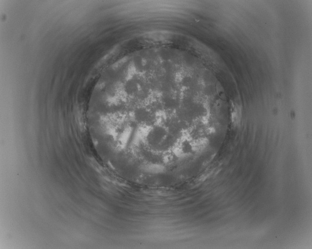 X0000071330819200607141903