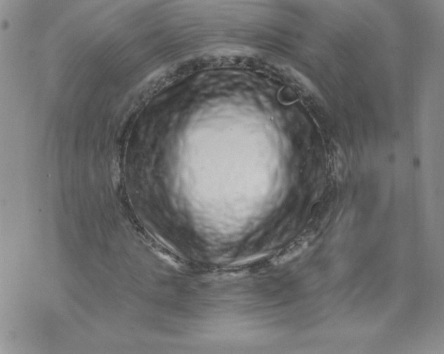 X0000071330821200607141903