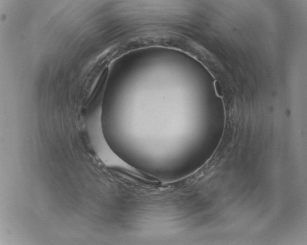 X0000071330822200607141903