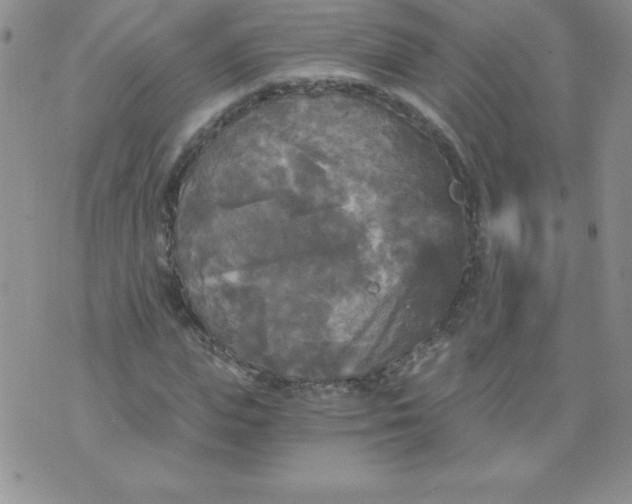 X0000071330823200607141903