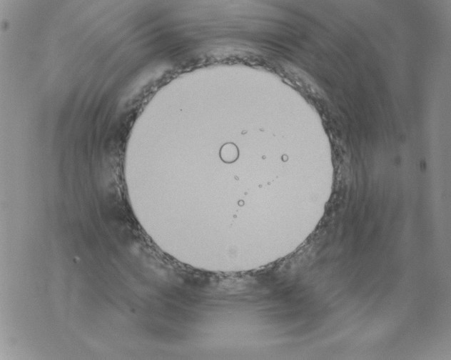 X0000071330824200607141903