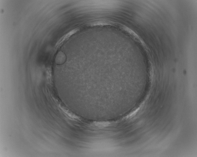 X0000071330825200607141903