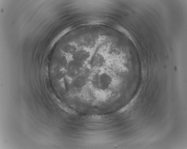 X0000071330827200607141903