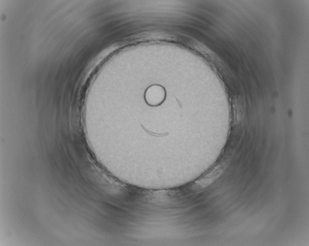 X0000071330828200607141903