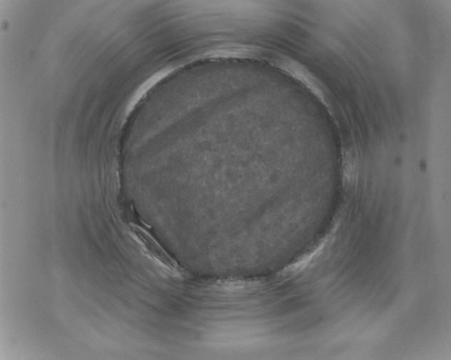 X0000071330829200607141903