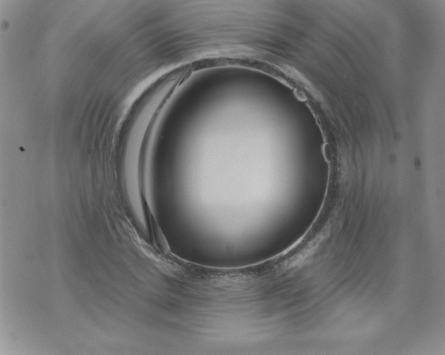 X0000071330830200607141903