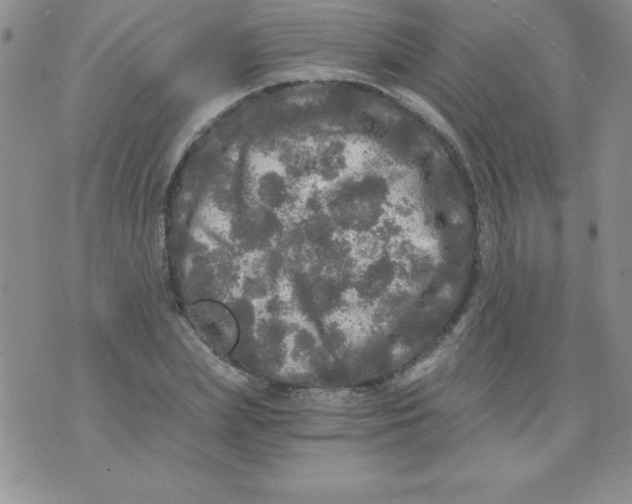 X0000071330831200607141903