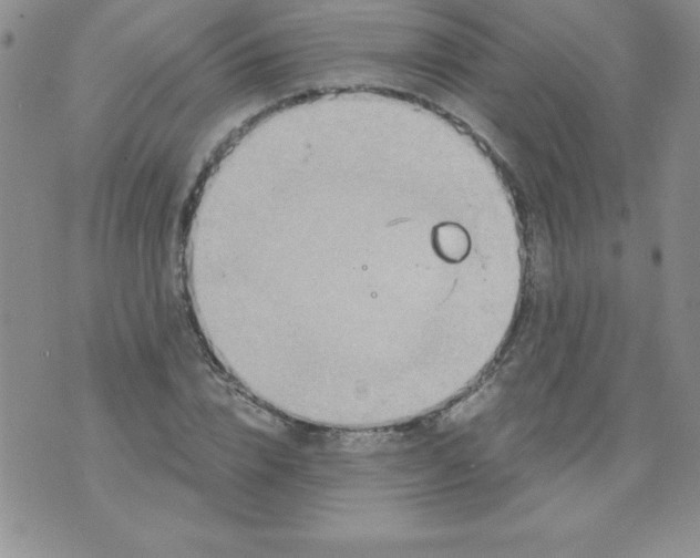 X0000071330832200607141903