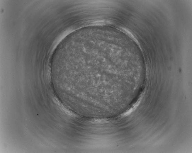 X0000071330835200607141903