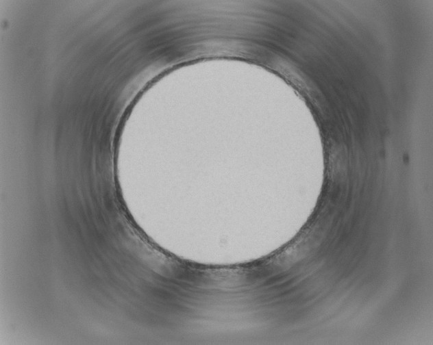 X0000071330836200607141903