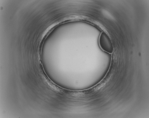 X0000071330837200607141903