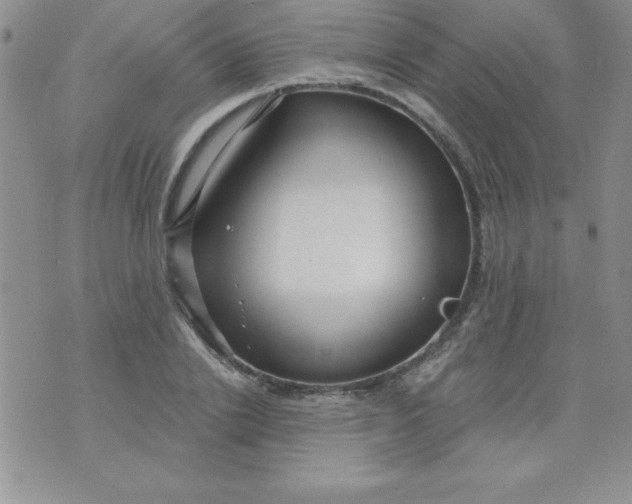 X0000071330838200607141903