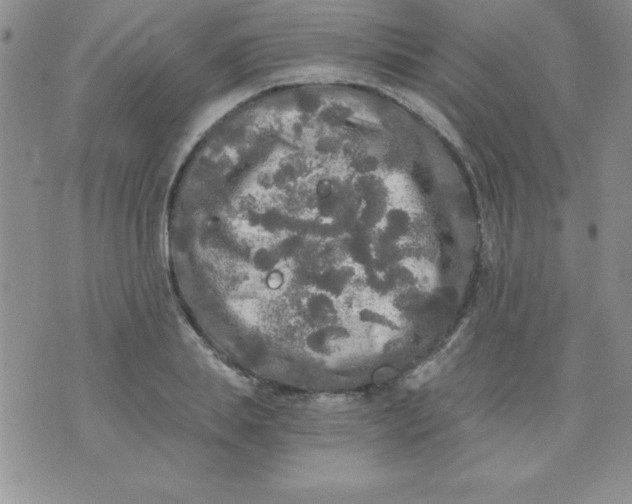 X0000071330839200607141903