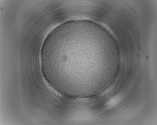 X0000071330840200607141903