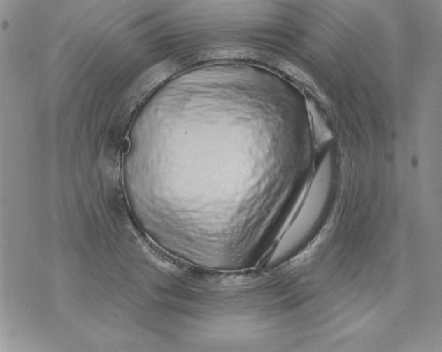 X0000071330841200607141903