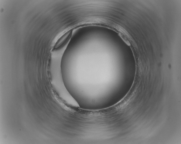 X0000071330842200607141903