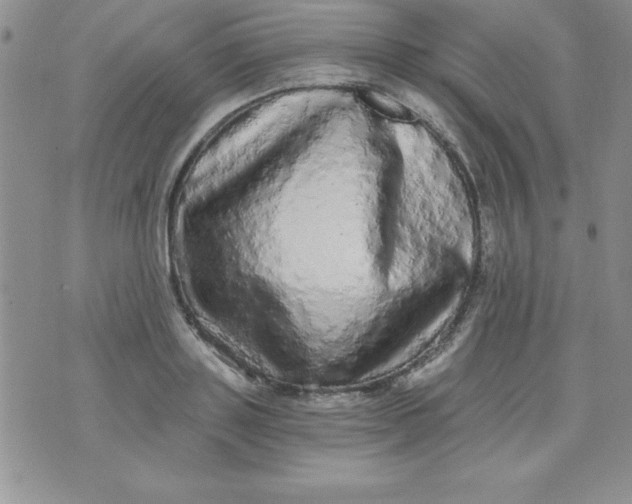 X0000071330843200607141903