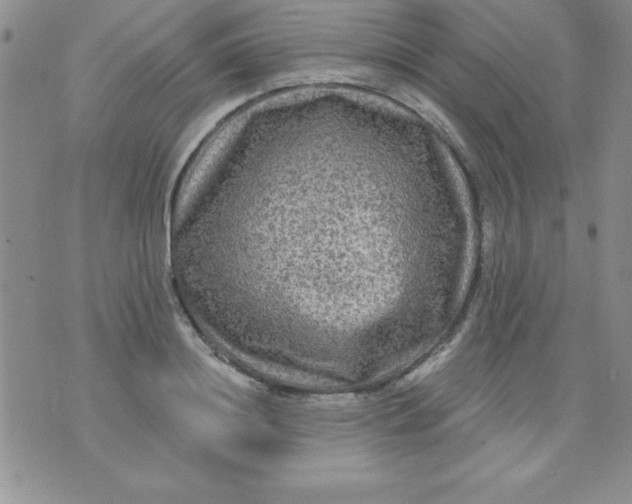 X0000071330844200607141903