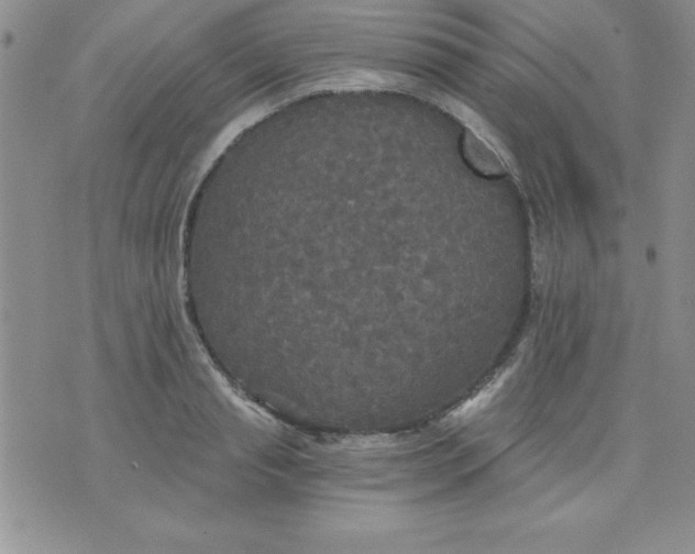 X0000071330845200607141903