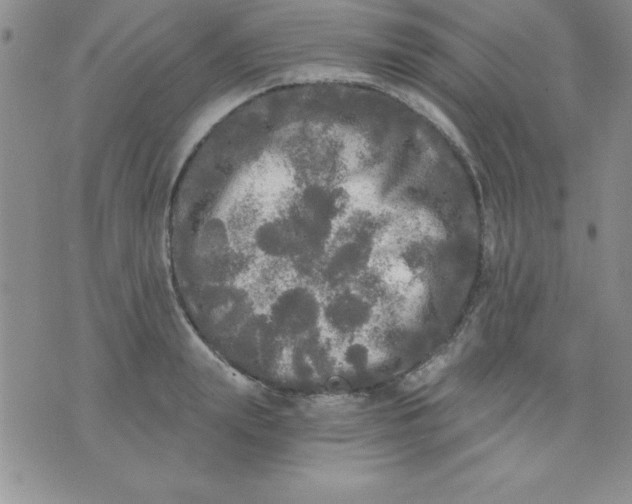 X0000071330847200607141903